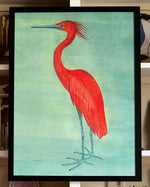 'Red Egrets'- framed in black or gold gilt -per piece