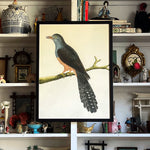 'Cuckoo Birds’ -per piece