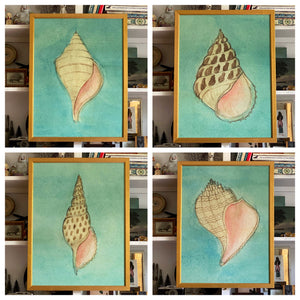 'Sea Shells' -per piece