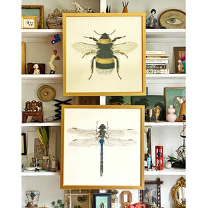 'Bumblebee' and 'Dragonfly' -per piece